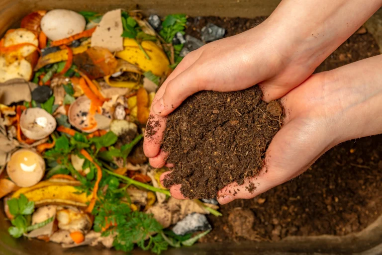 bioodpady i kompost - produkt uzyskiwany w wyniku recyklingu bioodpadów